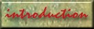 What you can expect to find on this site